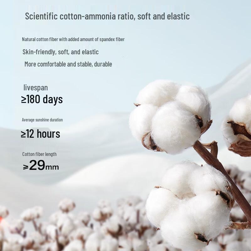 Nanjiren Men's Cotton Antibacterial Boxer Briefs