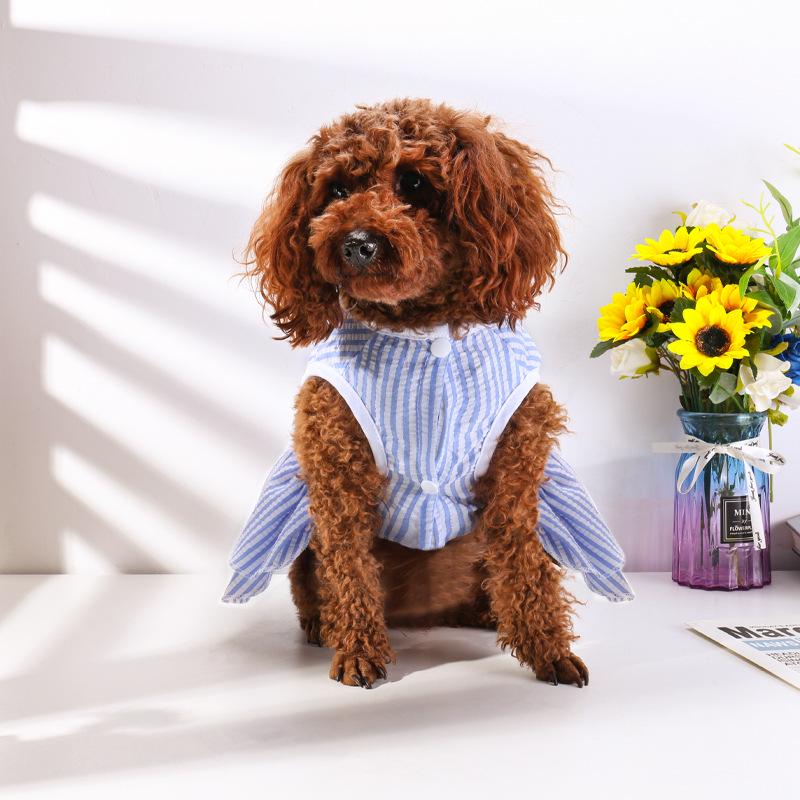 New Summer Thin Pet Bubble Skirt for Dogs Teddy Bear Design