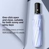 Modern Minimalist Automatic Folding Umbrella Windproof Rainproof For Adults
