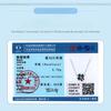 Spring New Four-Leaf Clover Ladybug Necklace 925 Silver Woman, Premium Sense S925 Silver Collarbone Chain