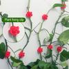 Yousheng 20Pcs Rose Plant Climbing Wall Fixture Clip Self-Adhesive Climbing Vine Fixing Hook Traction Tool Wall Hanging Plant Support Clamp
