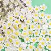 Frangipani Resin Accessories: Handmade White Flower Hair Clips, Ties, Jewelry, Cream Glue, and Phone Case DIY Kits.