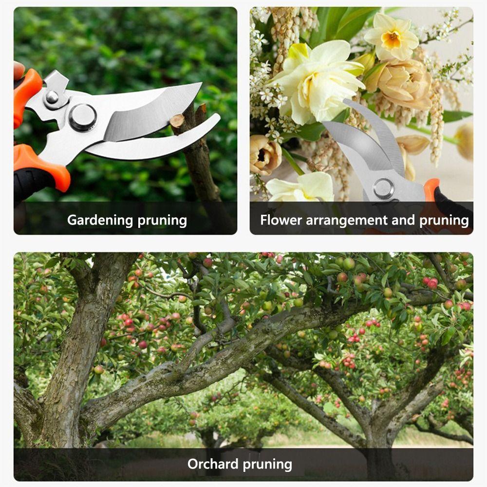 Garden Tool Branch Pruning Scissors Stainless Steel Fruit Picking Scissors Horticultural Scissors