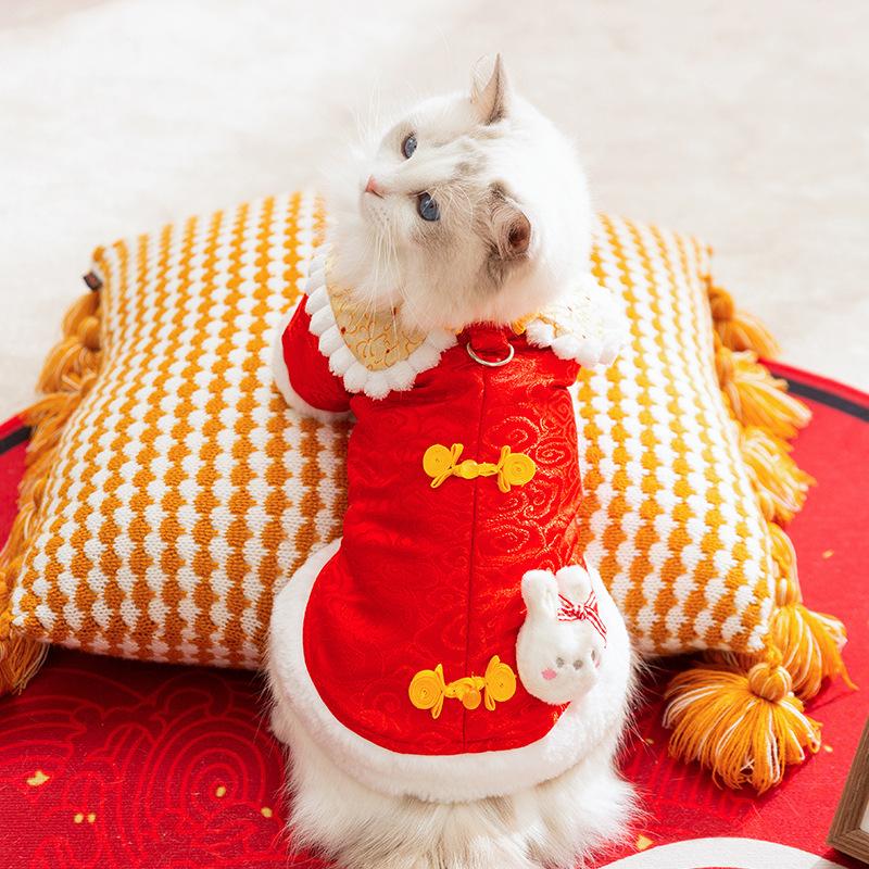 Cute New Year's Cat Clothes with a Satchel for Festive New Year's Greetings Tang Dress As a Kitten Velvet Two-legged Clothes for Chinese New Year Pet