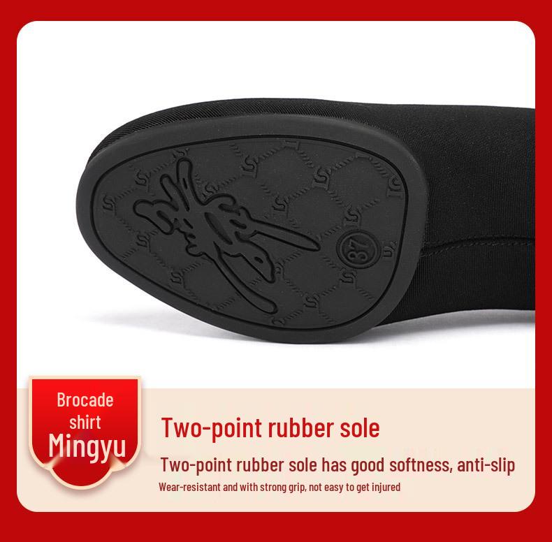 Women's Latin & Ballroom Dance Shoes - Soft Sole, Breathable, Lightweight, Ideal for Teachers, Training & Square Dance.