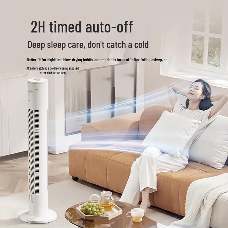 Airmate Bladeless Tower Fan with Natural Breeze CN plug (adapter included)