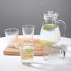 Vertical Stripe Glass Water Pitcher Set