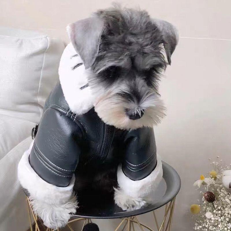 Dog Clothes Winter Thickened Trendy Brand Fur Integrated Motorcycle Jacket for Small Dogs Teddy Pomeranian Schnauzer Cats