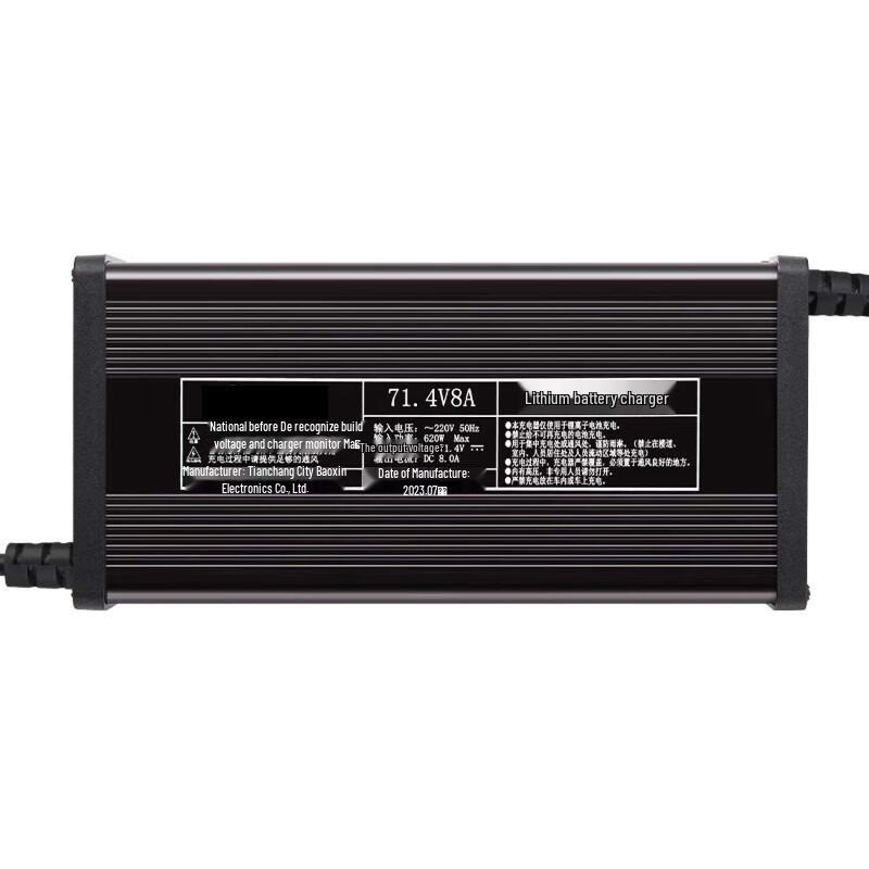 Gangwo 60V 5A Smart Fast Charger for Niu Electric Scooters