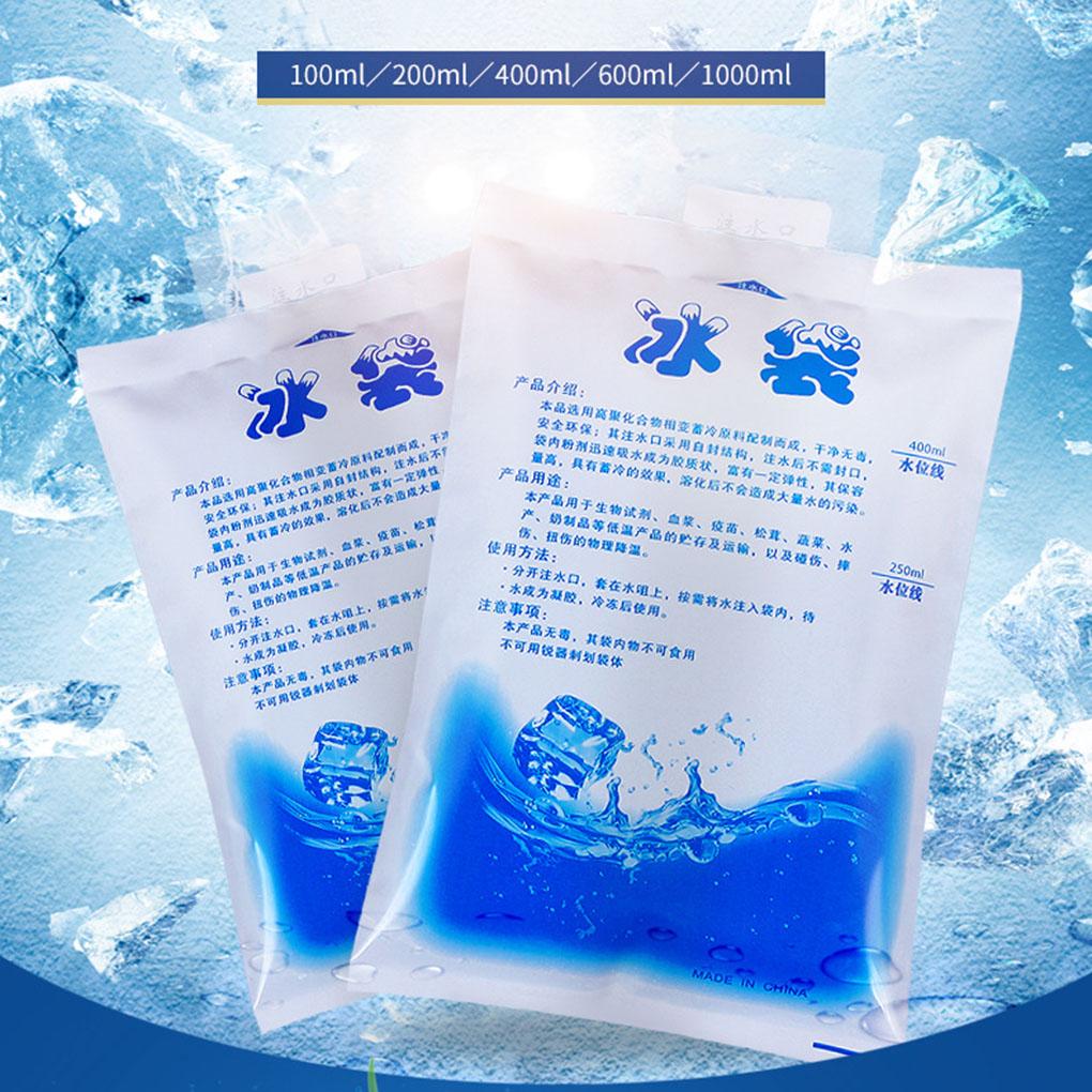 10pcs Ice Bag Insulated Reusable Dry Cold Ice Pack Cooler Bag for Food Can Wine 600ml