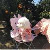 Thin Velvet Hooded Sweatshirt Love Pattern Dog Clothes Soft Pet Sweatshirt  Home Wear