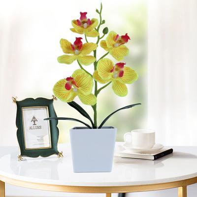 Simulation Phalaenopsis Simulation Topfpflanze Nordische Blumenkunst Dekoration Kunstblume Topfpflanze Grün