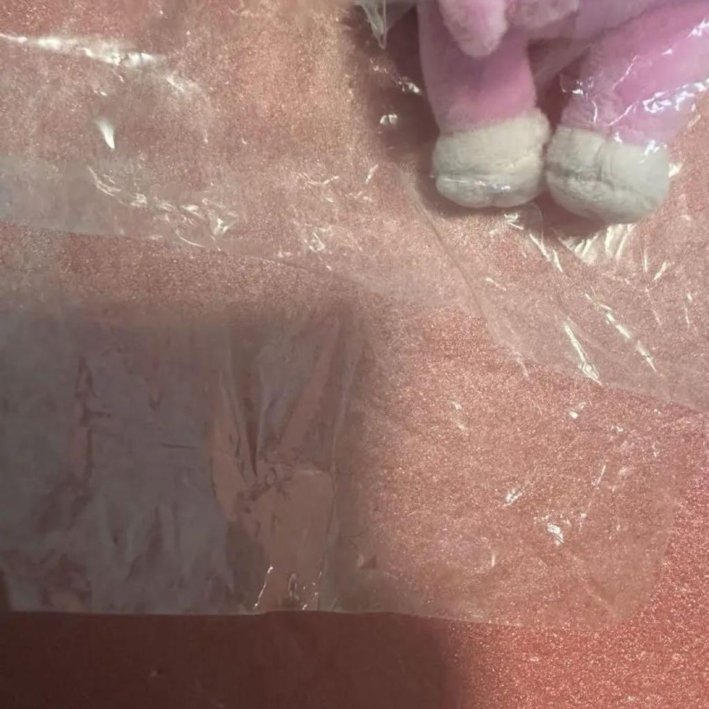 [USED] Stray Kids Changbin SKZOO Plush Toy DWAEKKI Mini Size