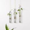 Thickened Hanging Glass Planter Wall Hanging Glass Vase Creative Test Tube Vases  Home Decoration