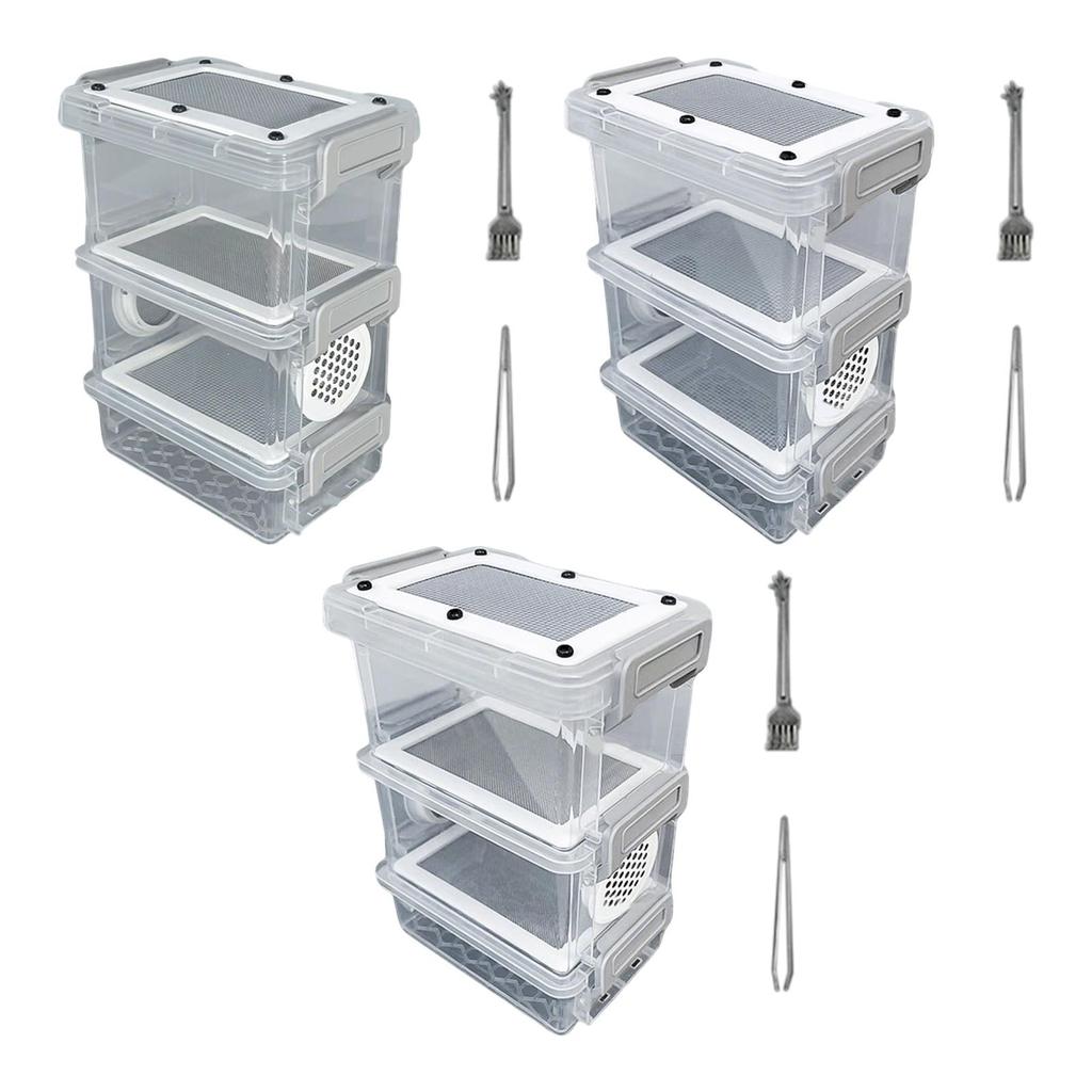 Scatola per Cibo Mini Grilli Plastica Acciaio Inossidabile Cassa di Allevamento Habitat Animale per Larve della Farina Scarafaggi e