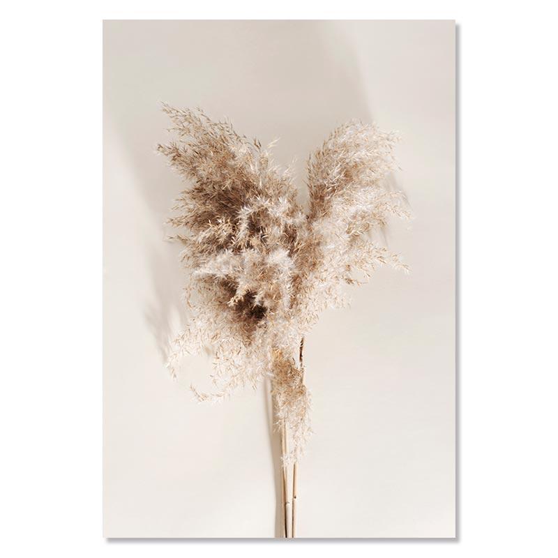 

Бежеві Пампаси Полотно Плакат Shell Reed Leaf Сучасне настінне мистецтво Принти Засушені квіти Друк картин Скандинавські плакати Декор вітальні 21x30cm No Framed