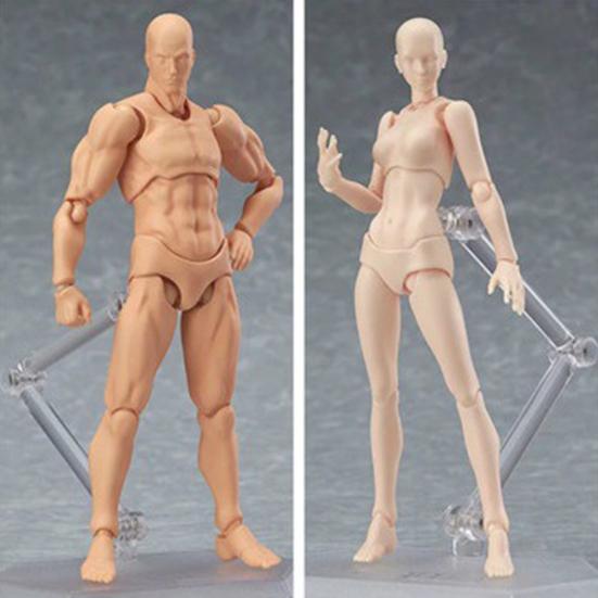Drawing Sketch Male Female Movable Doll Action Artist Figure Archetype Body