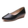 Spring and Autumn Women's Single Shoes Pointed Wedge-heeled Small Leather Shoes Shallow Mouth Working Mother Shoes Trend