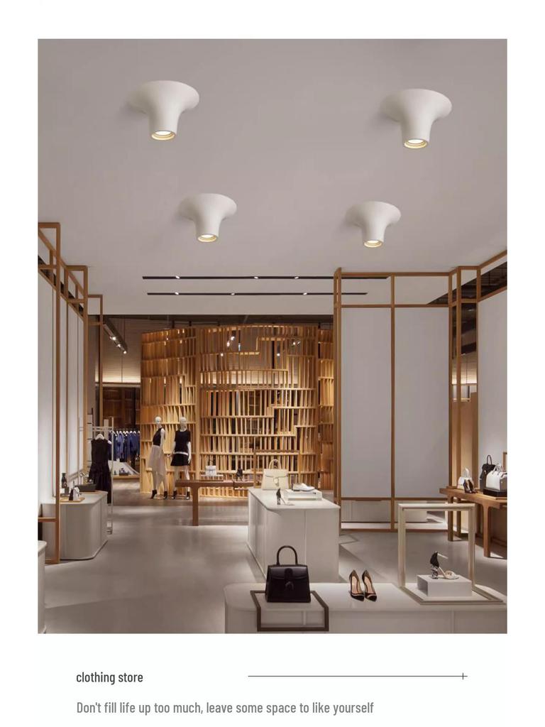 Wabi-Sabi Teardrop Frameless Smart Surface Spotlight Full-Spectrum Recessed Downlight