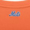 Mlb Kids New York Mets Point Logo Sweatshirt Puffins Bill 14443522