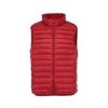 Men's High-End Lightweight Down Vest - Stand Collar, Short Style, Warm Inner Layer for Autumn and Winter