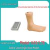 Medical Ankle Joint Injection and Puncture Training Model