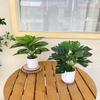 Nordic Artificial Monstera Bonsai - Small Potted Office Desk & Living Room Decor Green Plant.