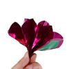 Gimmick Props Empty Hand Appear Flower PVC Sequins Fingertips Flower Appearing  Street Stage