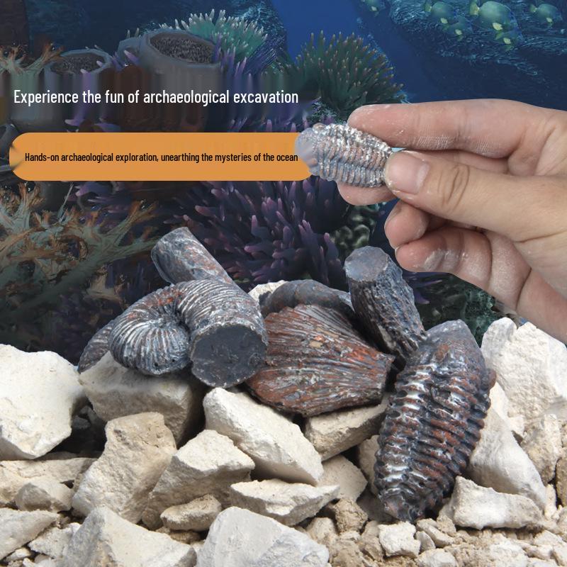Children's Archaeological Fossil Dig Toy: Marine Shells & Ancient Gem Treasures