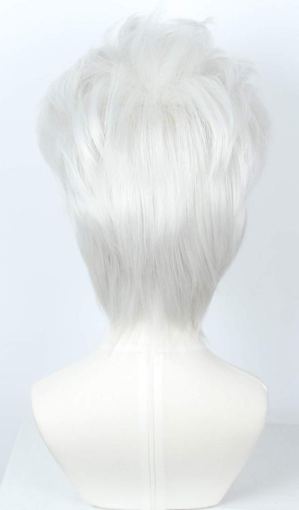 Linfairy Cosplay Wig, Heat Resistant, Costume Accessory, L55, Silver