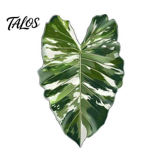 Botanical Fridge Magnets 3D Tropical Plants Refrigerator Magnet, Acrylic Green Decorative Plant Home Decor Memo Notes Photo Holder for Kitchen Office