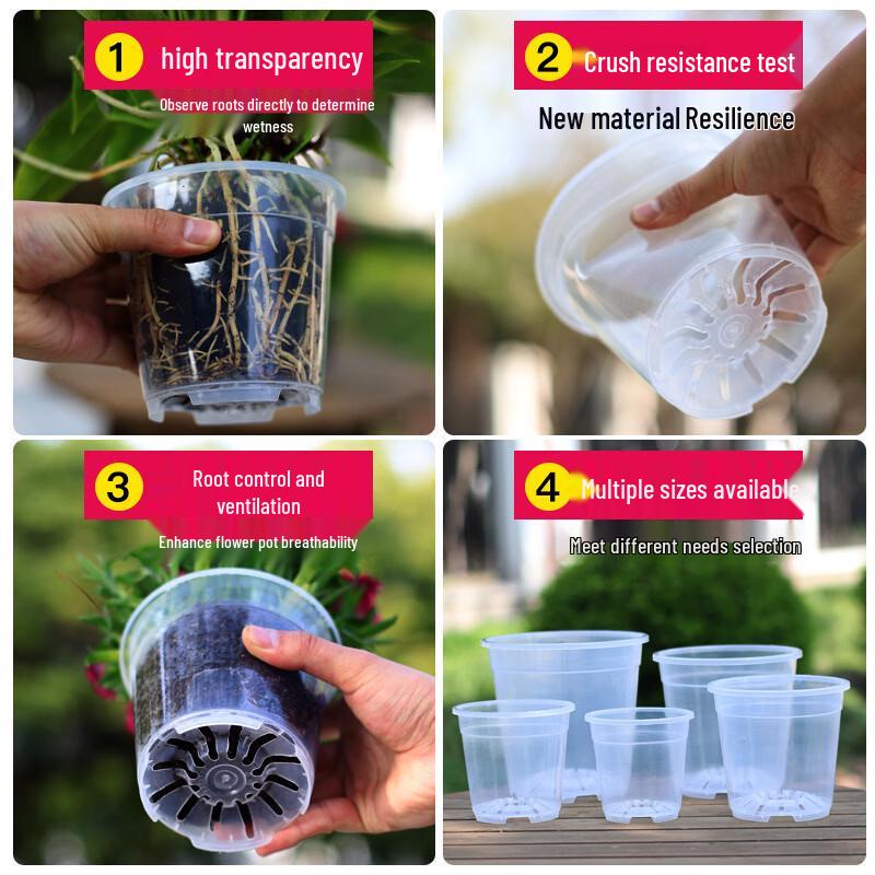 Qingshan Transparenter Orchideentopf zur Wurzelkontrolle