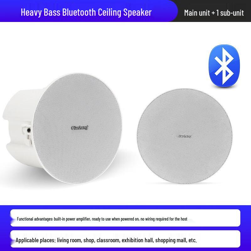 QIASHENG Commercial Bluetooth Ceiling Speaker System