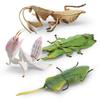 Lifelike Insect Model Set With Four Unique Designs Including Orchid Mantis Leaf Insect And More