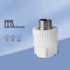 PPR External Thread Water Pipe Connector