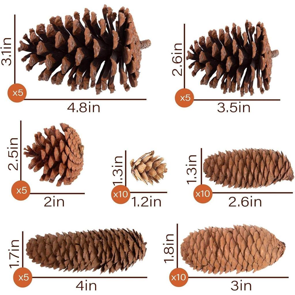 20PCS Natural Pinecone Ornaments, Pine Cones Bulk Natural Pinecones Assortment for Fall Winter Christmas Bowl Fillers (Natural)