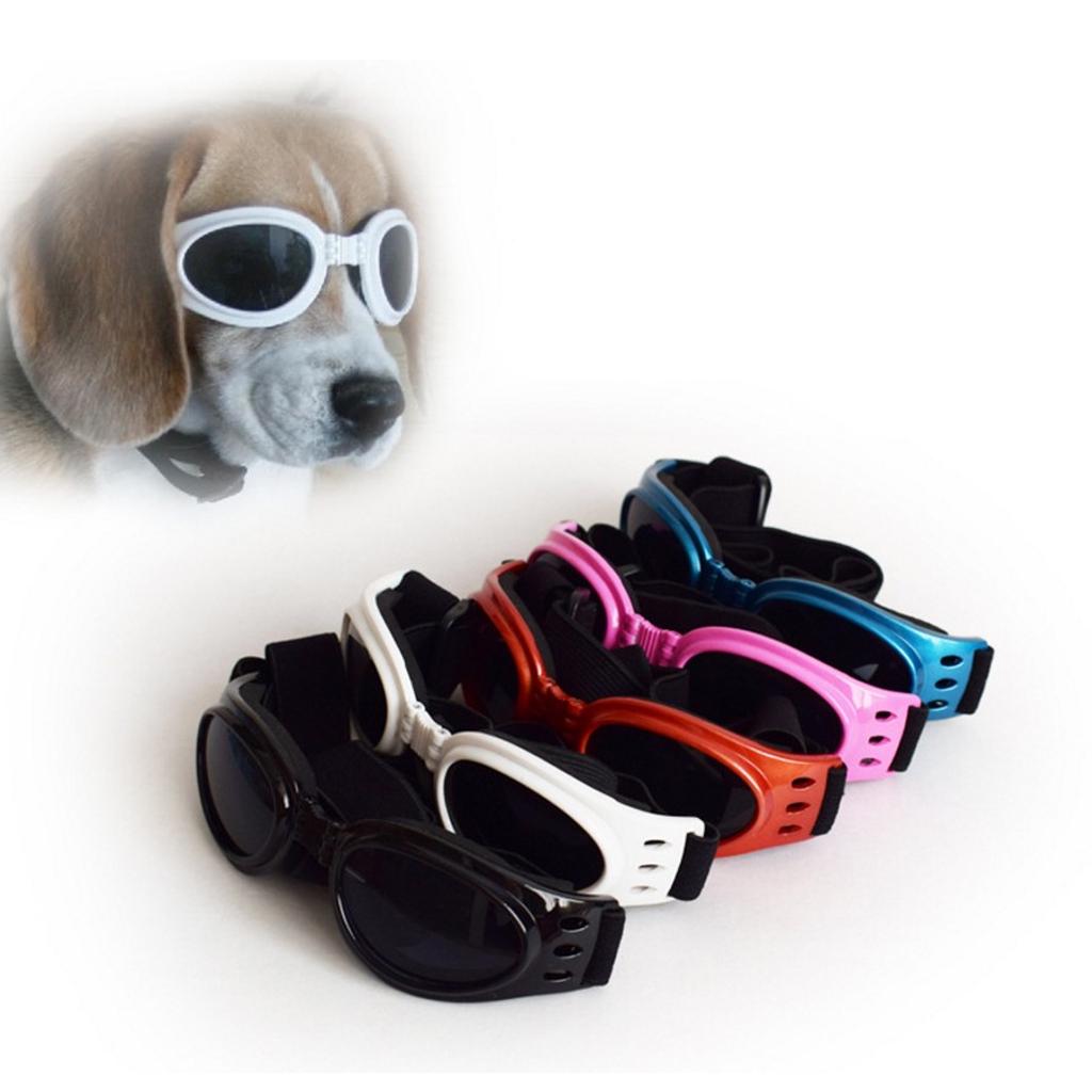 dog wind goggles
