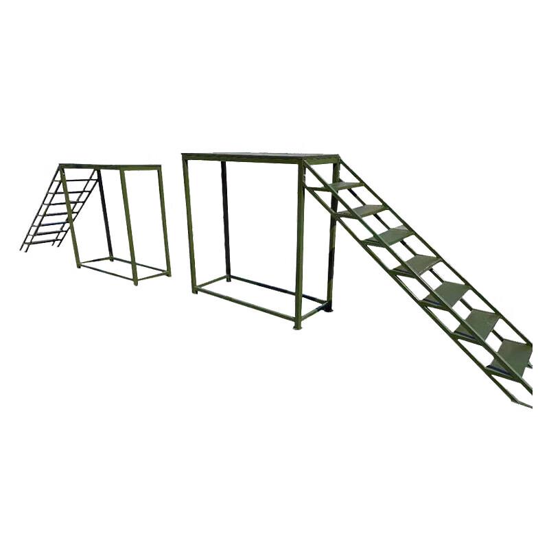Professional Dog Agility Training Obstacles