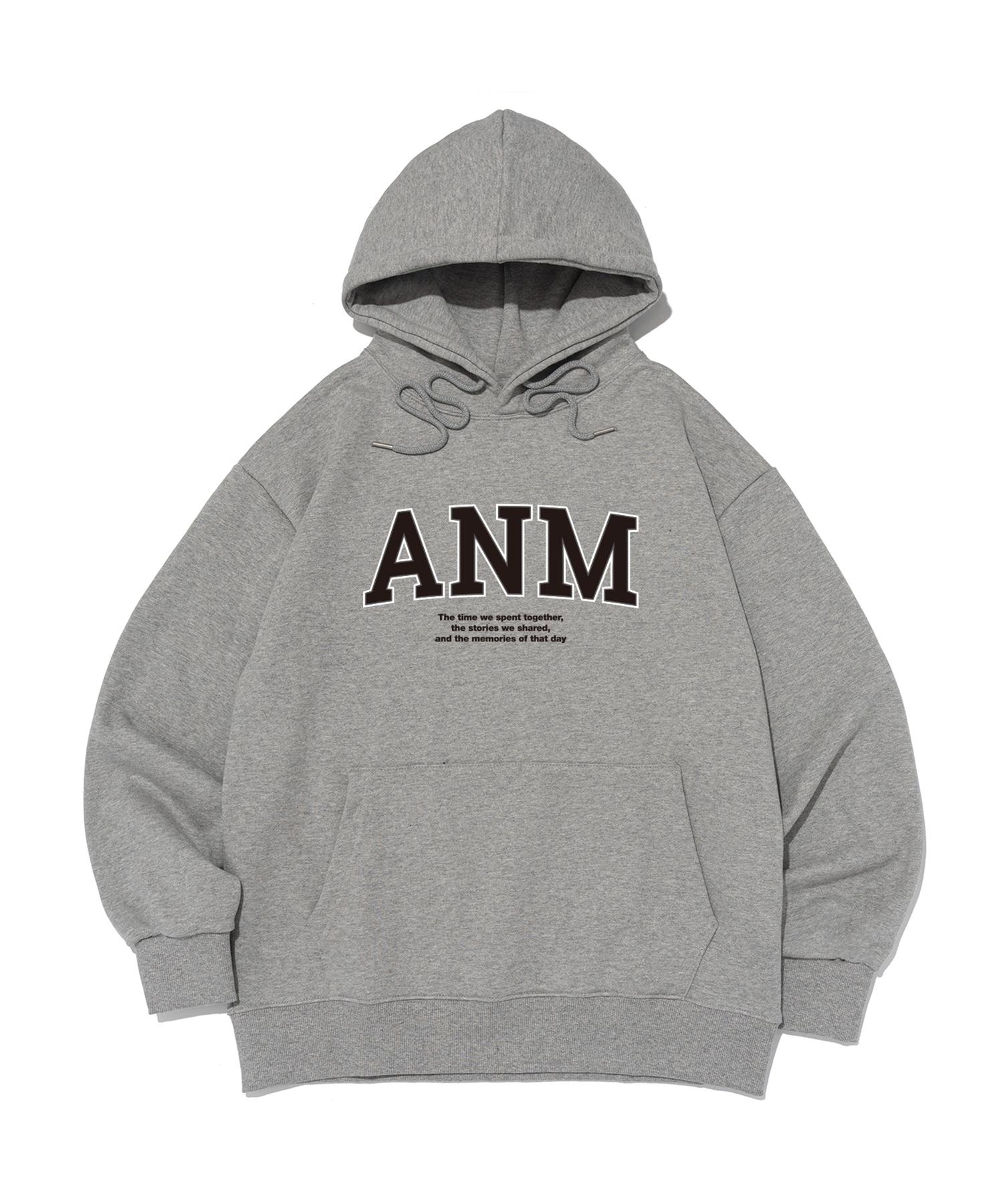 Analog Mood Anm Logo Hoodie (Gray) S