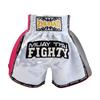 Muay Thai Fight Shorts for Men & Women - Training, Boxing, Sanda 