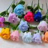 Künstliche Blume Langlebig Niemals Verwelkend Handgefertigt Verdrehte Stöcke Seidenblumen Realistisches Künstliches Blumengesteck Heimdekoration