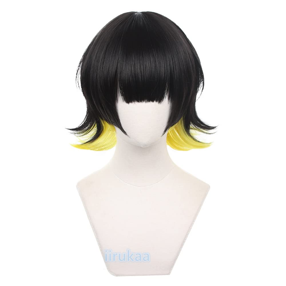 

iirukaa Blue Locks Horaku Mawari Cosplay Wig Heat for 2D and Costumes Wig, Wig, Net, Resistant, Photography, Events, Halloween,