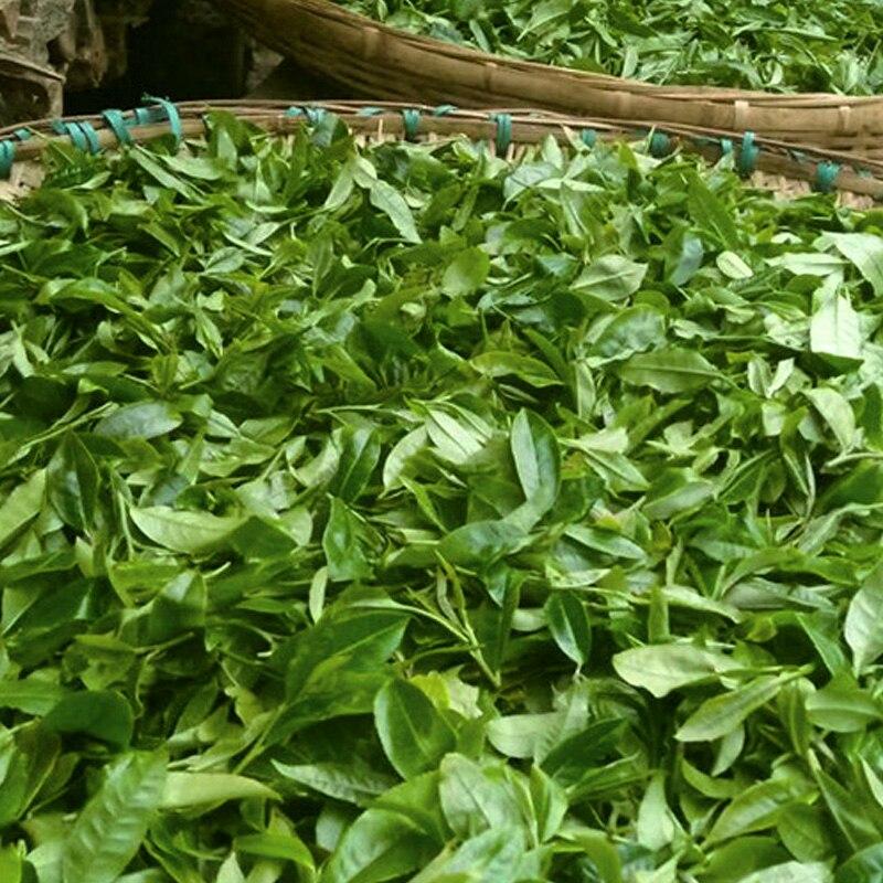 Tè Puerh Crudo 2012 Albero Antico Yiwu Sheng Puerh Tè Compresso 250g
