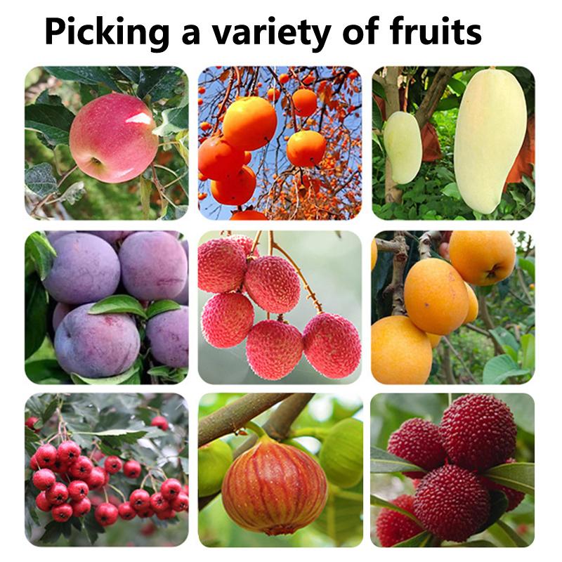Garten Obstpflückkopf Obstgarten Apfel Birnen Orange Hoher Baum Pflückwerkzeug Fruchtauffangsack Abnehmbar Bauernhof Früchte Sammler