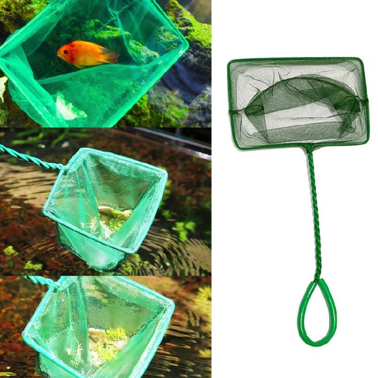 10Pieces Aquariums Maintenance Net for Fish Catching and Waste Removal Stable and Efficient Fishing Net with Fine Mesh