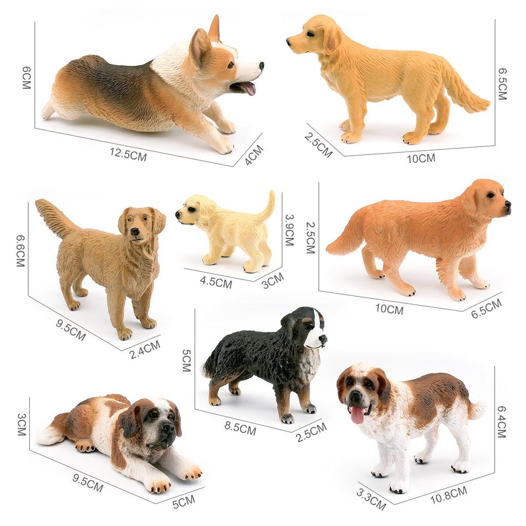 Captivating Golden Retriever Corgi And Saint Bernard Models Perfect For Pet Enthusiasts