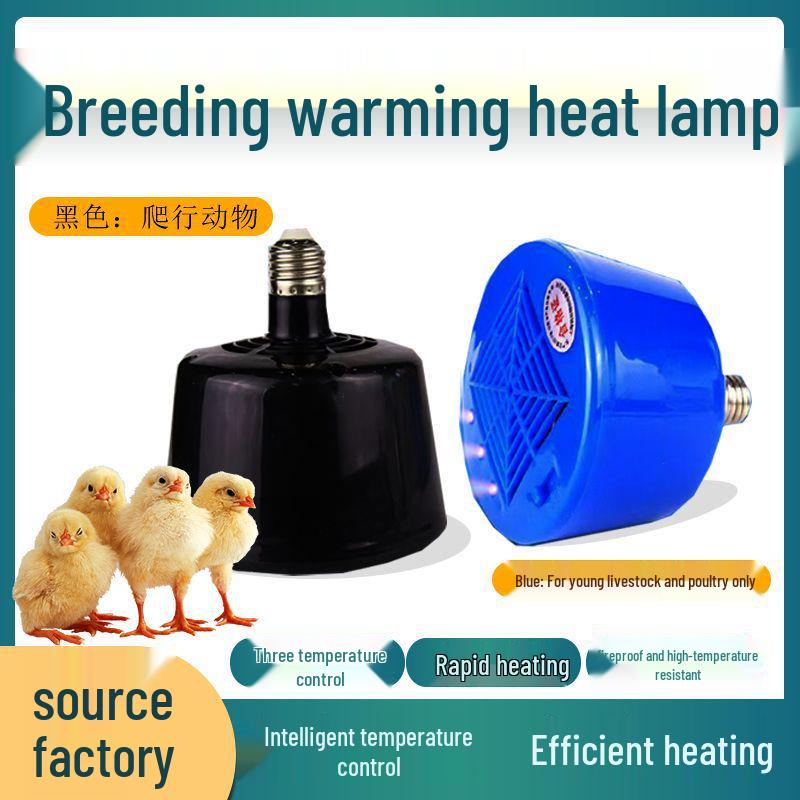 Premium Poultry & Pet Heating Bulb - 2nd & 3rd Gen Reptile Brooding Warm Wind Lamp