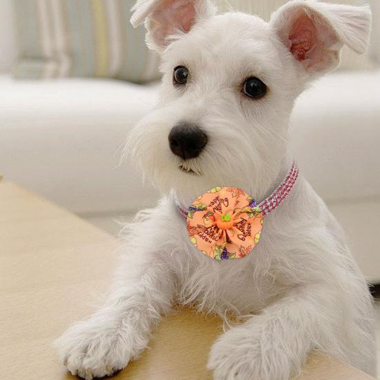 Dog Collar Charms with Elastic Band Thanksgiving Day Theme Print Pet Collar Slide