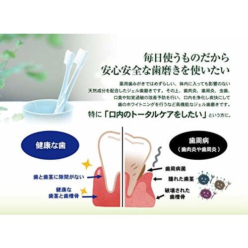 Medicated Adult Gel Toothpaste, S-80-20, for Bad Breath and Periodontal Disease, Non-Abrasive, 6 Additive-Free, Natural Ingredients, 80g