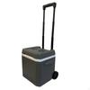 Wheeled Cooler Box PU Foam Insulation Portable Cold Storage Large Capacity